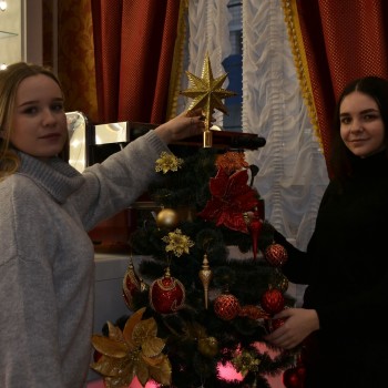 Прикрась дім до Нового року: ФГРіТБ