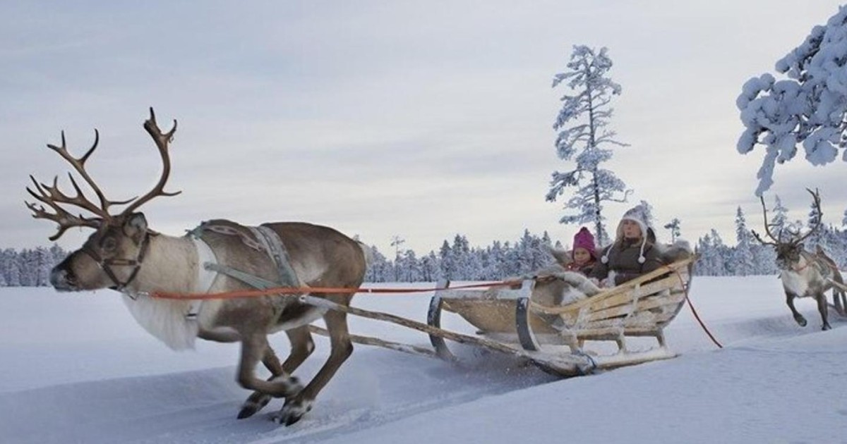 в’ючний туризм (екіпажний туризм)